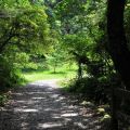 福山植物園-福山植物園照片