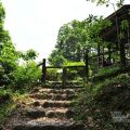 福山植物園-福山植物園照片