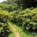 福山植物園-福山植物園照片