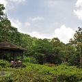 福山植物園-福山植物園照片