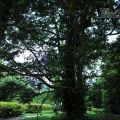 福山植物園-福山植物園照片