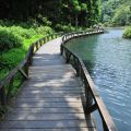 福山植物園-福山植物園照片