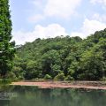 福山植物園-福山植物園照片