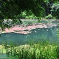 福山植物園-福山植物園照片