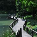 福山植物園-福山植物園照片