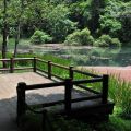 福山植物園-福山植物園照片