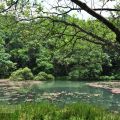 福山植物園-福山植物園照片