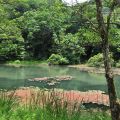 福山植物園-福山植物園照片