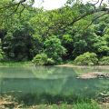 福山植物園-福山植物園照片