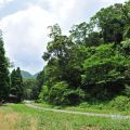 福山植物園照片