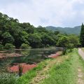 福山植物園-福山植物園照片