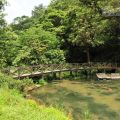 福山植物園-福山植物園照片