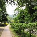 福山植物園-福山植物園照片