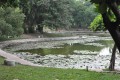 台南公園3