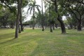 台南公園(舊名中山公園)-台南公園9照片