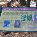 新威苗圃(新威森林公園)-新威苗圃(新威森林公園)照片