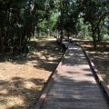 新威苗圃(新威森林公園)-新威苗圃(新威森林公園)照片