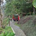 金光山厚德紫竹寺-金光山厚德紫竹寺照片