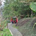 金光山厚德紫竹寺-金光山厚德紫竹寺照片