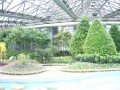 韓國濟州島 如美地植物園-溫室照片