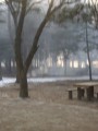 韓國春川  冬季戀歌定情地   南怡島 -霧濛濛的雪景照片