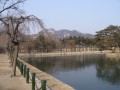 韓國首爾   景福宮-湖水都結冰了照片