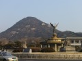 韓國首爾   景福宮-青瓦台照片