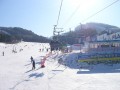 韓國江原道 let`s go skiing龍平渡假村-坐吊椅至山頂 好緊張!照片