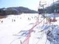 韓國江原道 let`s go skiing龍平渡假村-坐吊椅約五分鐘 滑下來幾秒就結束了照片