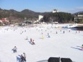 韓國江原道 let`s go skiing龍平渡假村-選最初級的滑雪道就好照片