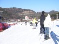 韓國江原道 let`s go skiing龍平渡假村-出發吧照片