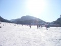 韓國江原道 let`s go skiing龍平渡假村-就算很冷太陽還是刺眼照片