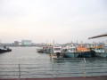 韓國仁川 浪漫月尾島-魚船照片