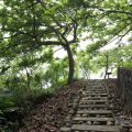 關仔嶺紅葉公園-關仔嶺紅葉公園照片