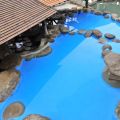 龜丹溫泉(龜丹溫泉休閒農場)-泳池2照片