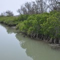 雙春濱海遊憩區-雙春濱海遊憩區照片