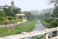 台南市立體育公園-台南市立體育公園6照片