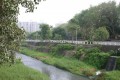 台南市立體育公園-台南市立體育公園7照片