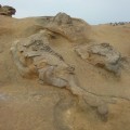野柳地質公園-台灣石照片