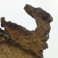 野柳地質公園-瑪玲鳥石照片