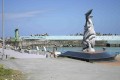 石梯坪漁港-海豚雕塑照片