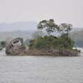 烏山頭水庫(珊瑚潭)-水庫中的小島原本島上有一涼亭目前已傾倒照片