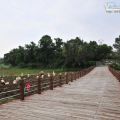 白河蓮花公園-白河蓮花公園照片