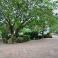 關子嶺嶺頂公園(關仔嶺嶺頂公園)-關子嶺嶺頂公園(關仔嶺嶺頂公園)照片