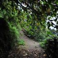 烏山登山步道(台灣獼猴保護區)-烏山台灣獼猴保護區照片