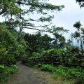 烏山登山步道(台灣獼猴保護區)-烏山台灣獼猴保護區照片