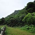 烏山登山步道(台灣獼猴保護區)-烏山台灣獼猴保護區照片