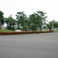 嘉南高爾夫球場(嘉南球場)-嘉南高爾夫球場(嘉南球場)照片