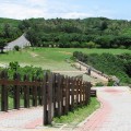 貓鼻頭(貓鼻頭風景區, 貓鼻頭公園)-貓鼻頭公園照片