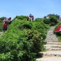 貓鼻頭(貓鼻頭風景區, 貓鼻頭公園)-貓鼻頭公園照片